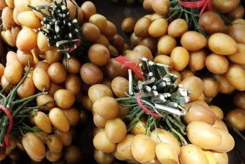 吃中药可以吃黄皮瓜吗,黄皮瓜与中药同食的注意事项