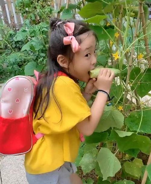 高考送花女孩吃瓜,一场青春的甜蜜邂逅